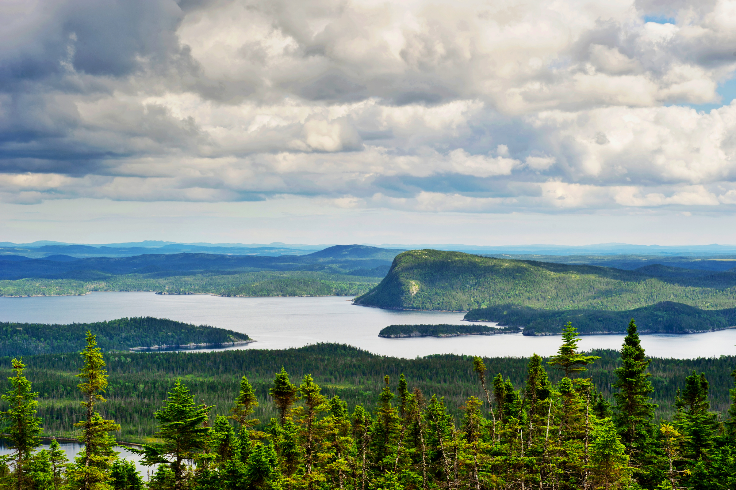 terra nova national park, newfoundland (2).webp